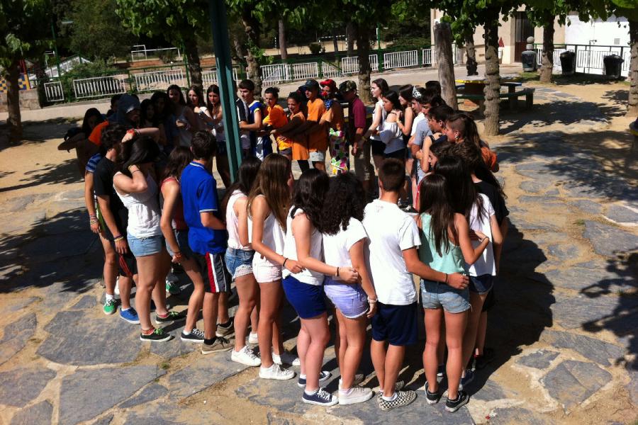 Cohesió del grup 2