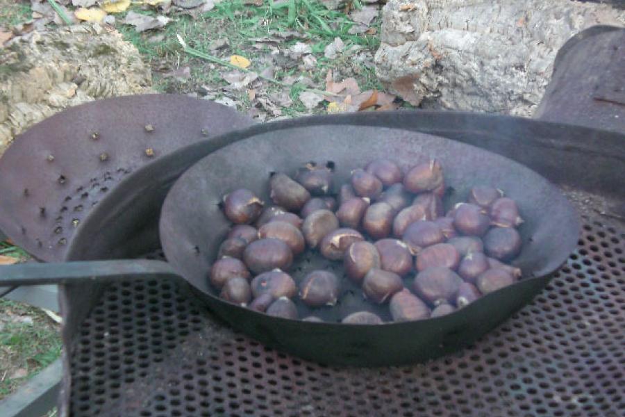Castanyada amb panellets 2