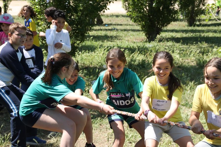 Jocs cooperatius